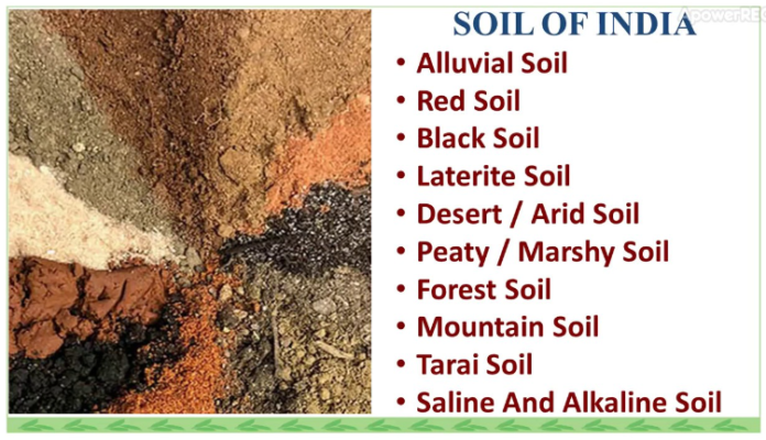 Types of Soil in India